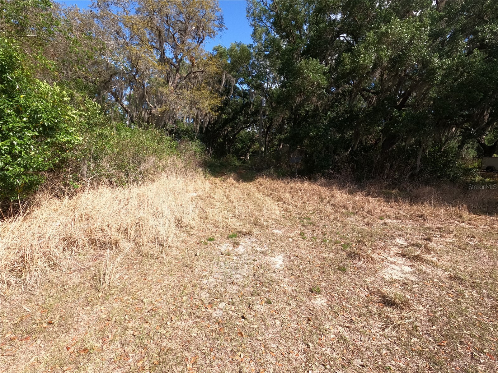 0 Earth Star Lane Groveland FL 34736 G5111483 image25