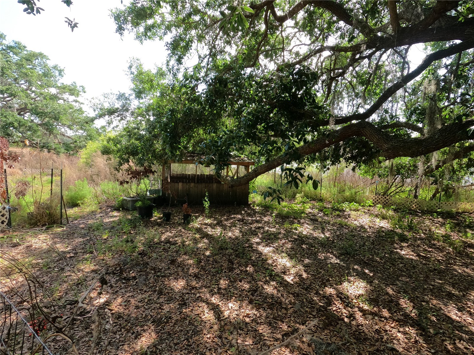 0 Earth Star Lane Groveland FL 34736 G5111483 image44