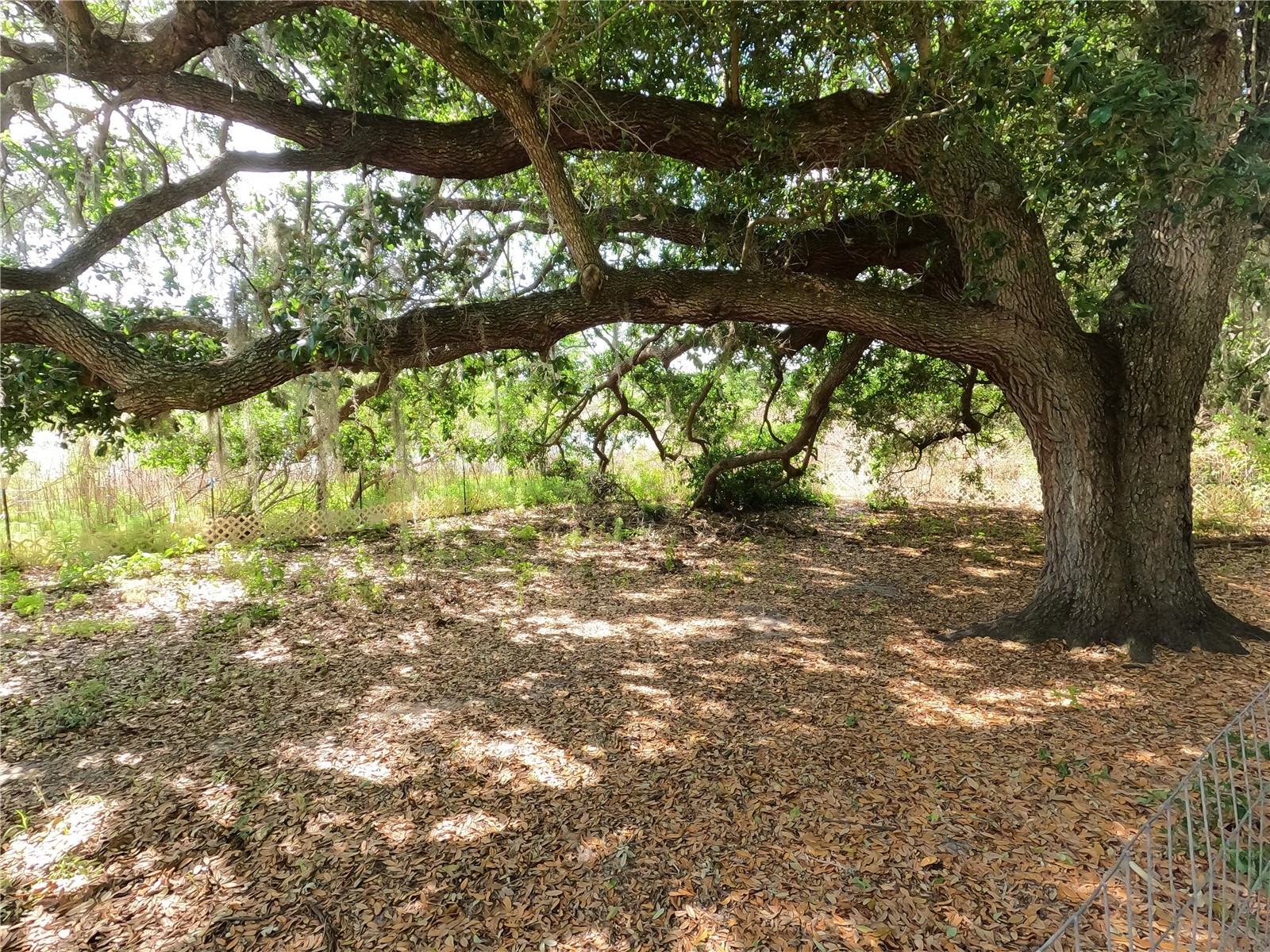 0 Earth Star Lane Groveland FL 34736 G5111483 image45