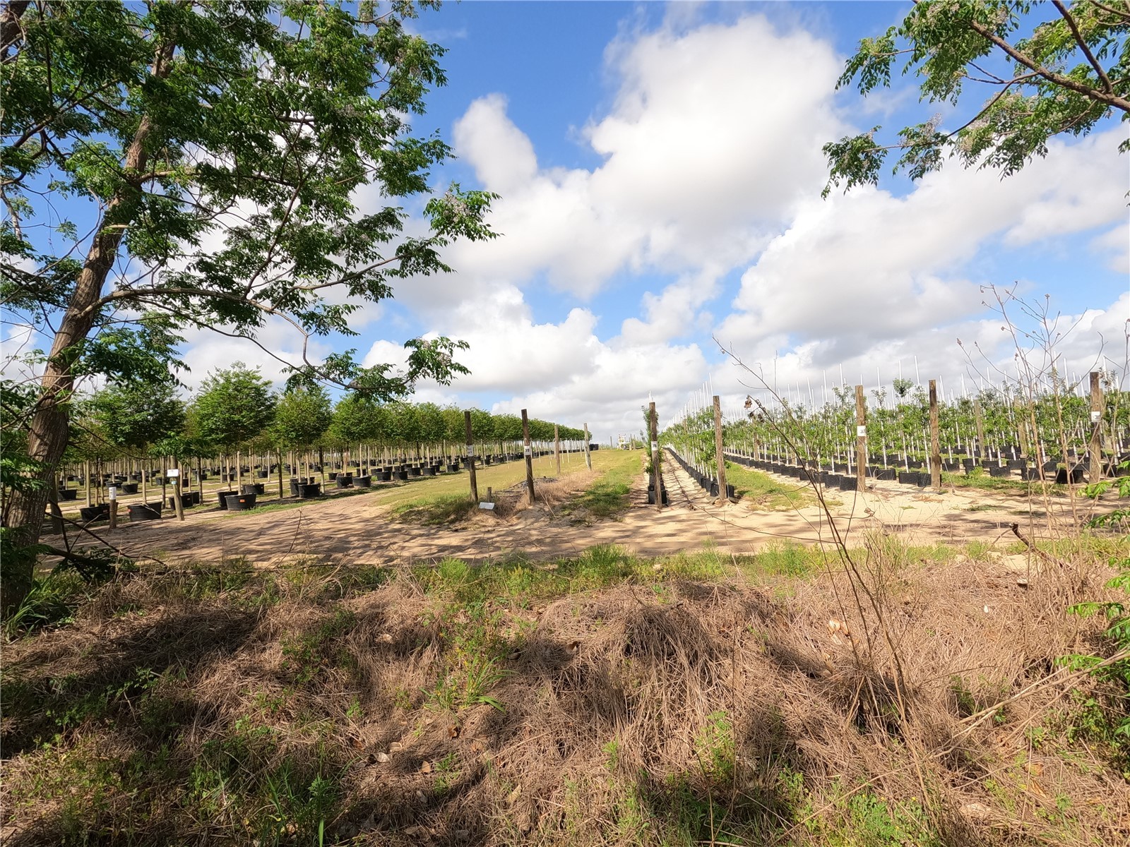 0 Earth Star Lane Groveland FL 34736 G5111483 image47