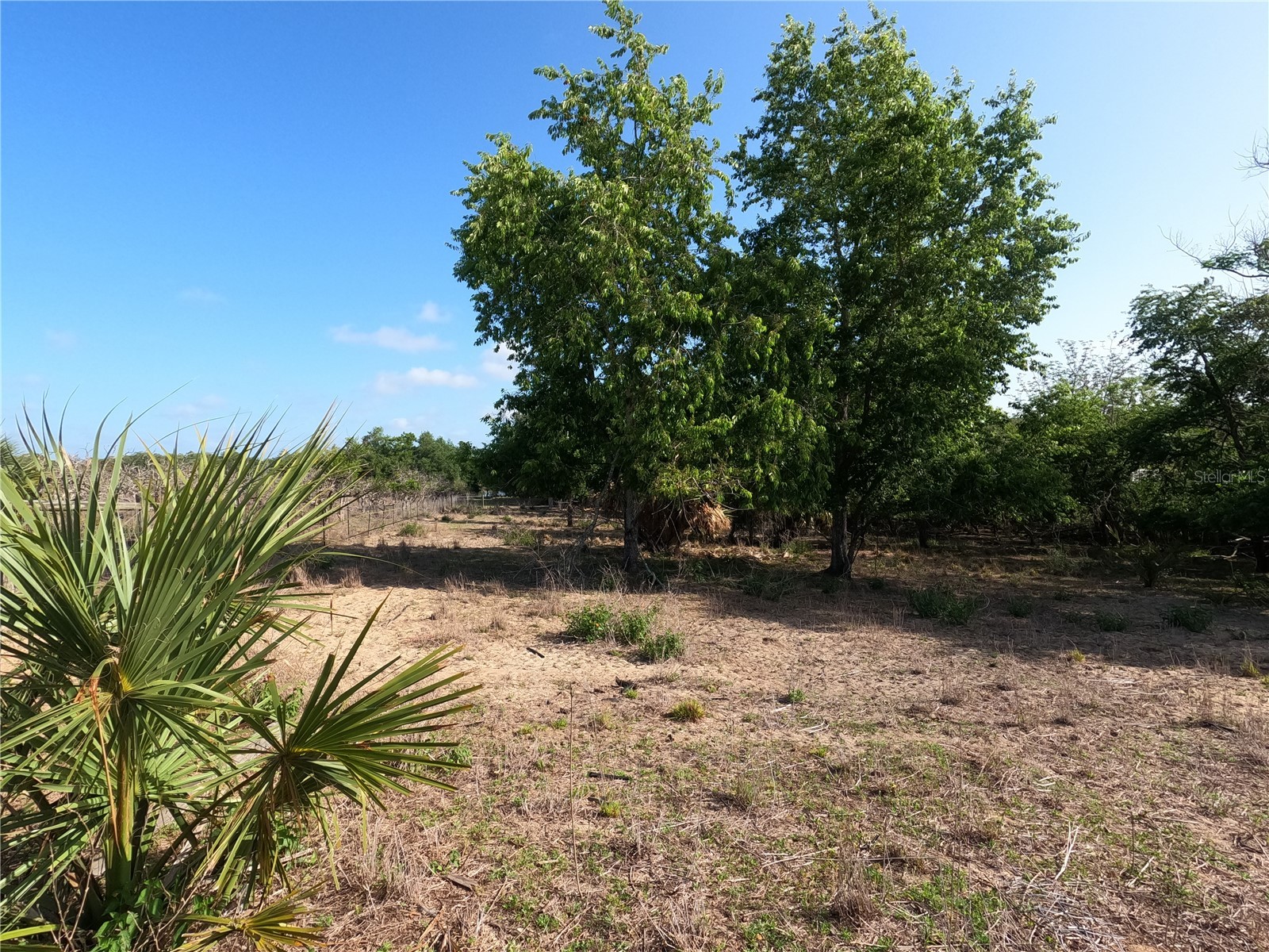0 Earth Star Lane Groveland FL 34736 G5111483 image5