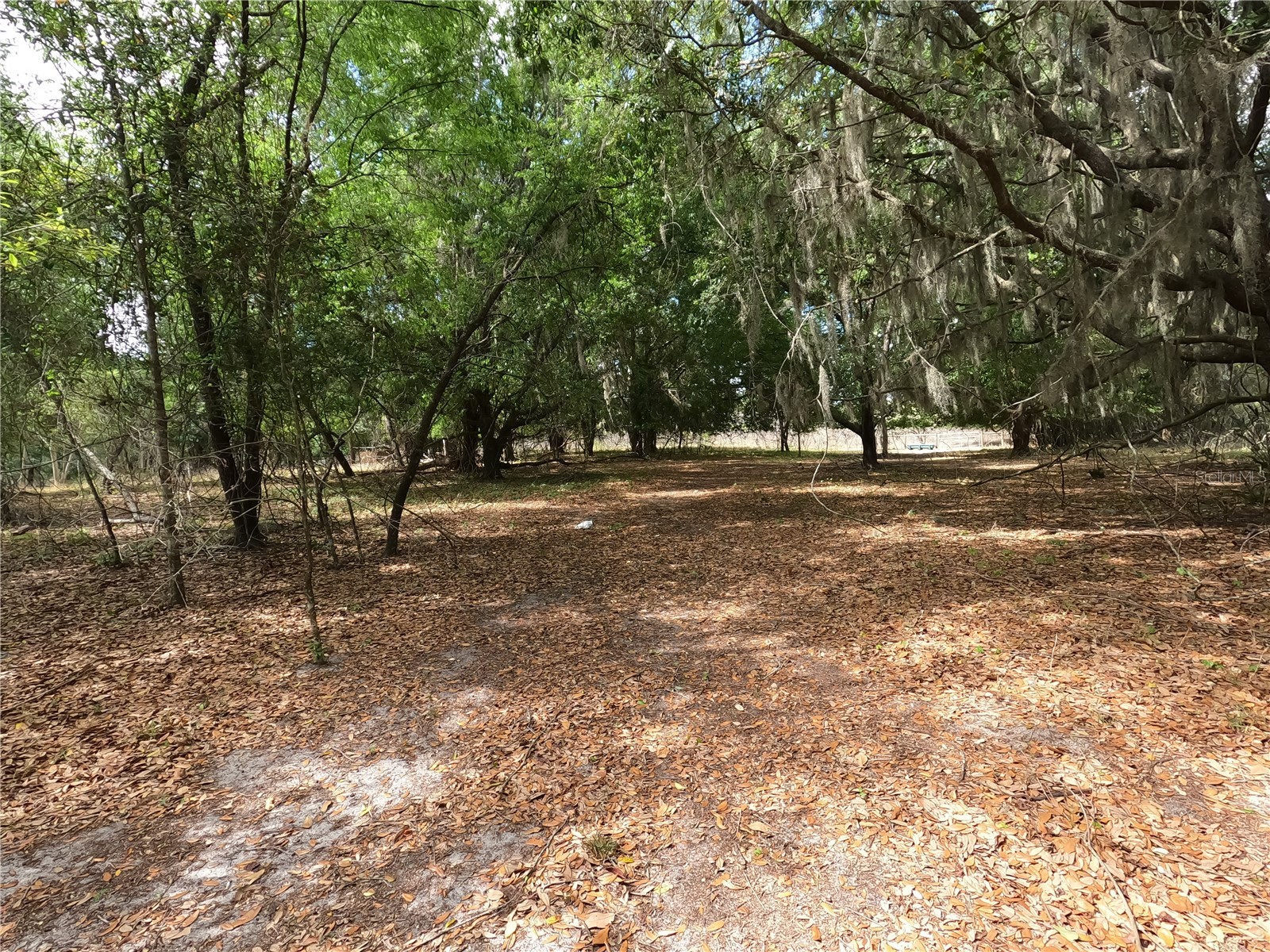 0 Earth Star Lane Groveland FL 34736 G5111483 image52