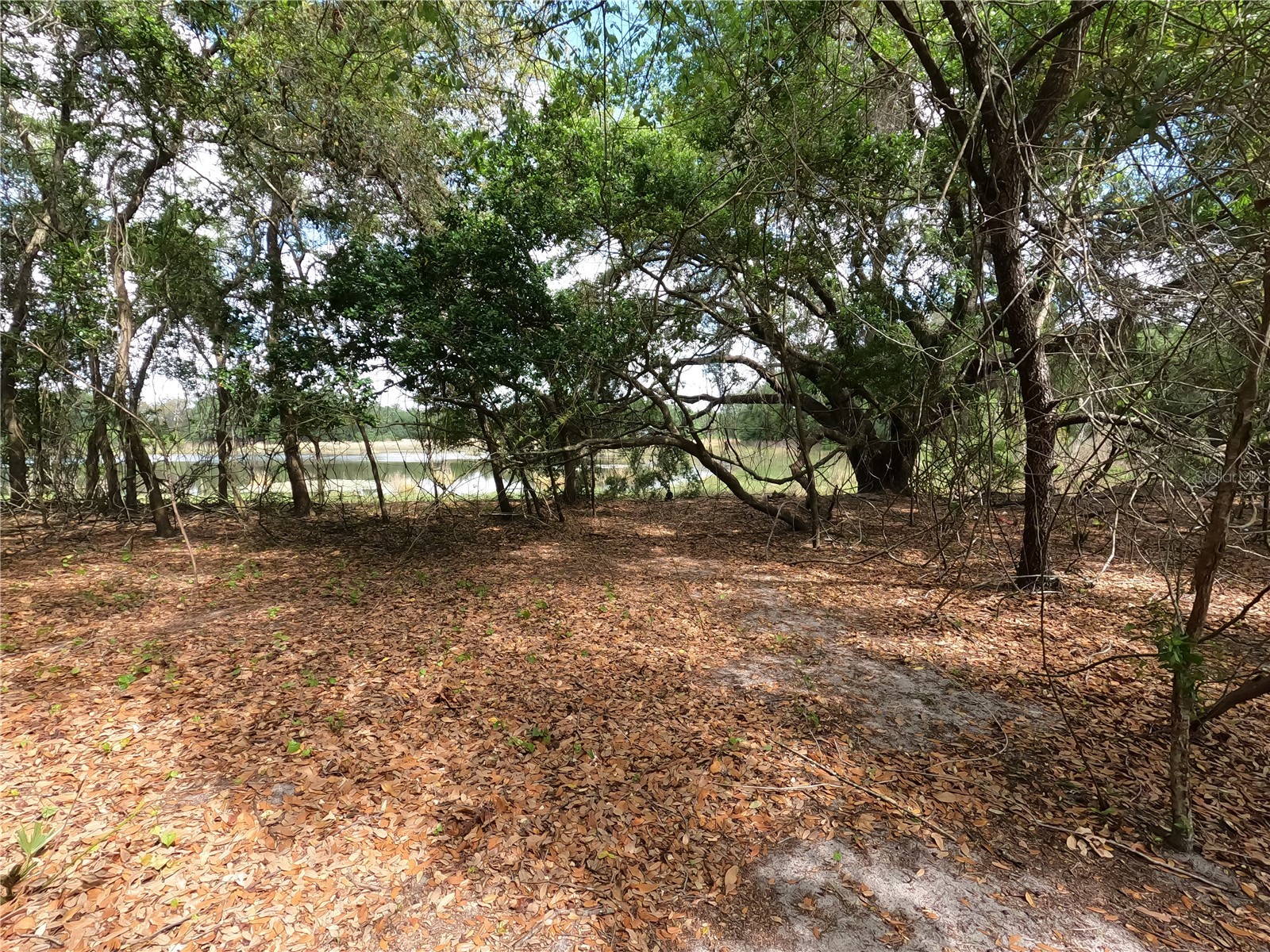 0 Earth Star Lane Groveland FL 34736 G5111483 image53