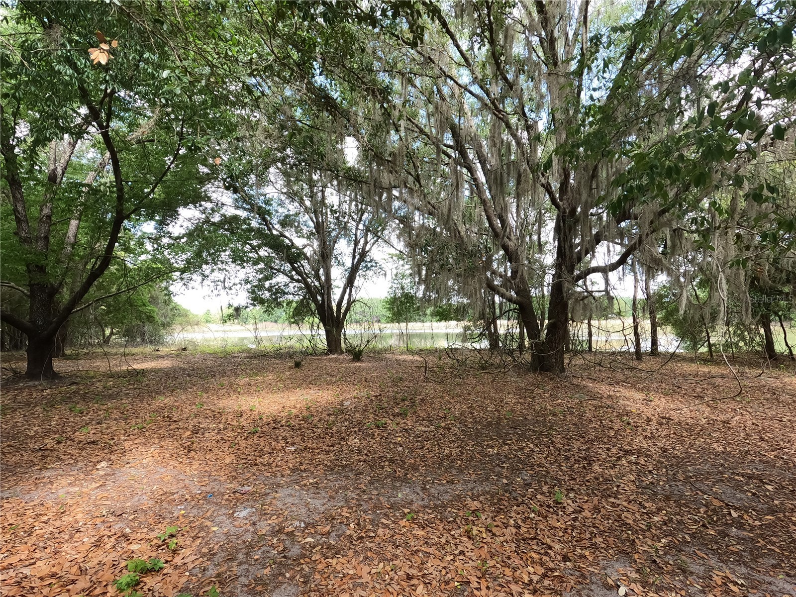 0 Earth Star Lane Groveland FL 34736 G5111483 image55