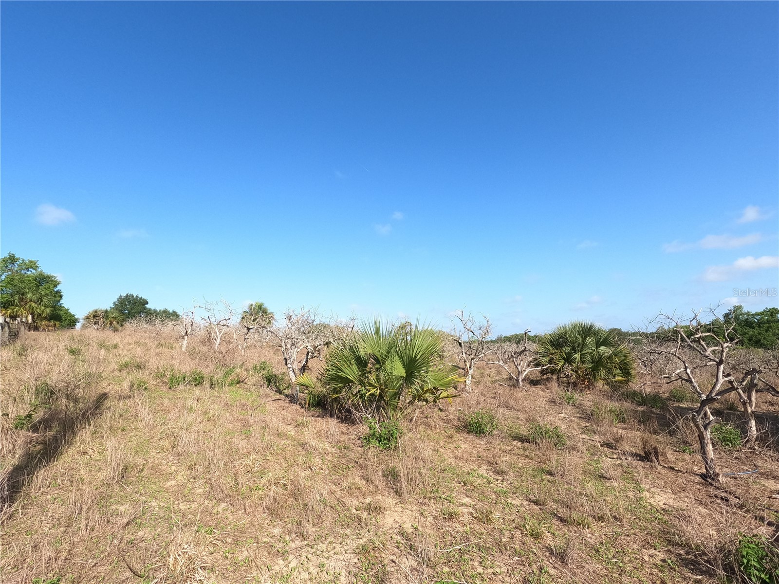 0 Earth Star Lane Groveland FL 34736 G5111483 image6