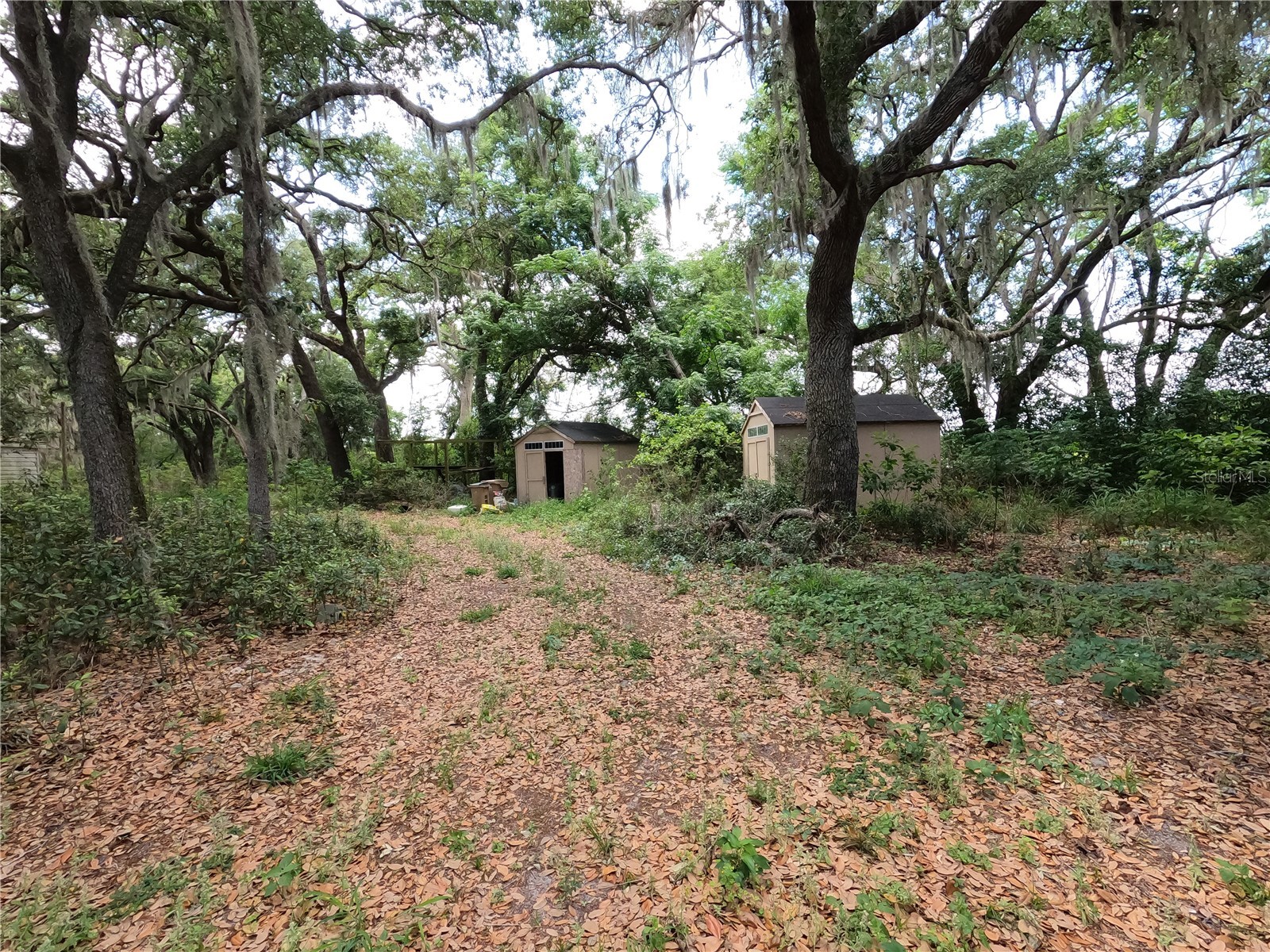 0 Earth Star Lane Groveland FL 34736 G5111483 image60