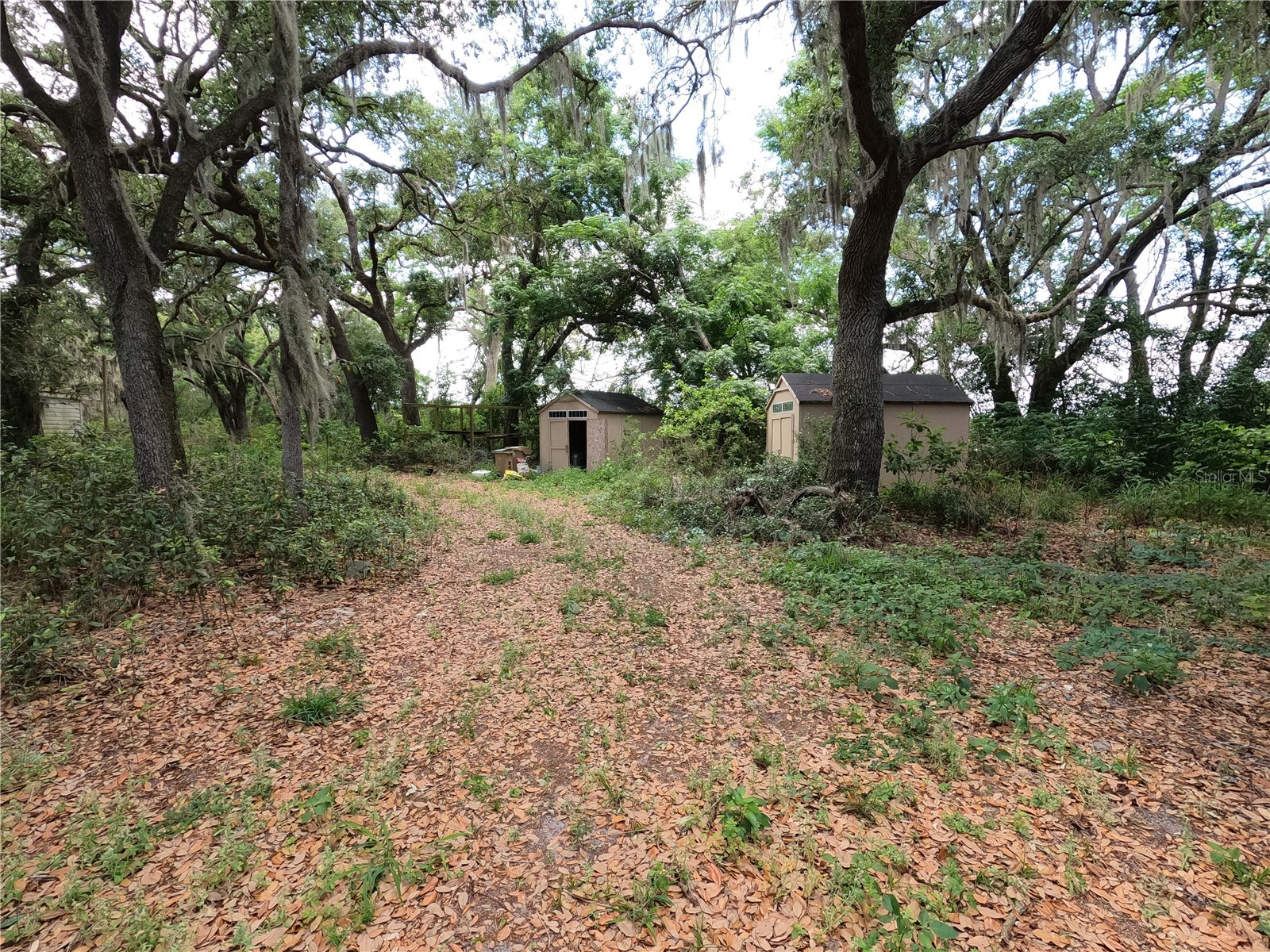 0 Earth Star Lane Groveland FL 34736 G5111483 image61