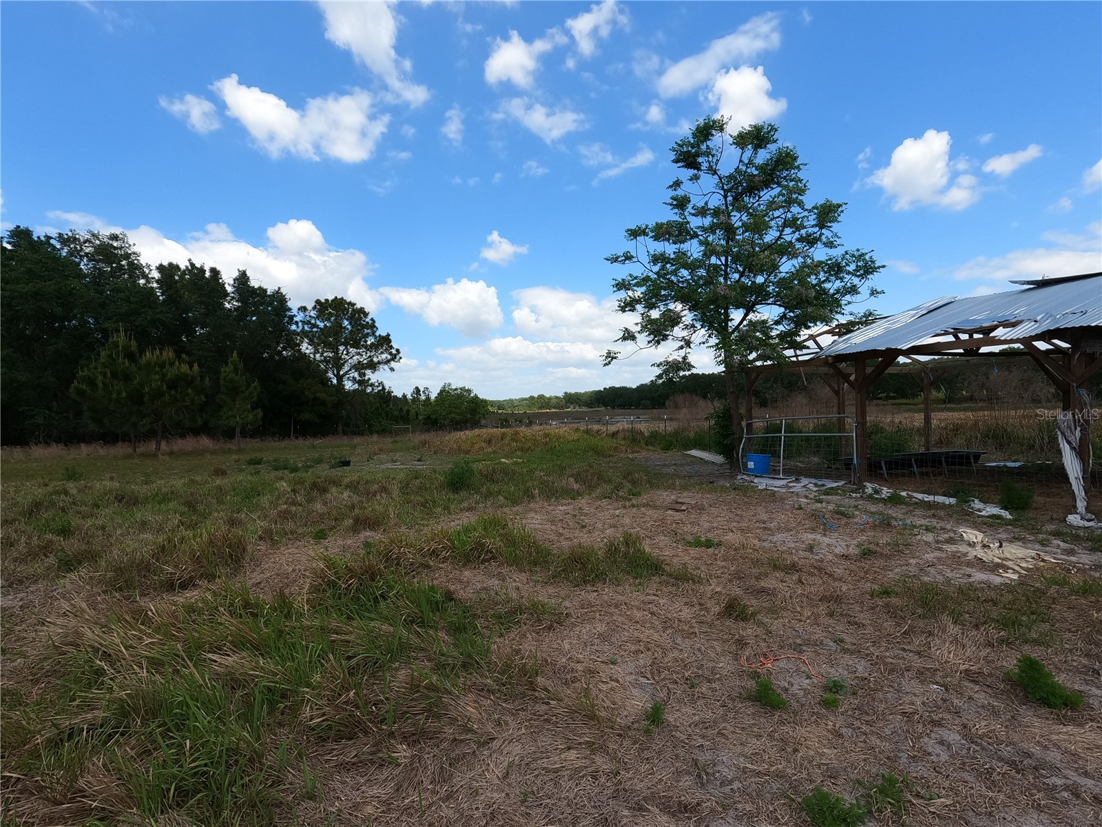 0 Earth Star Lane Groveland FL 34736 G5111483 image69