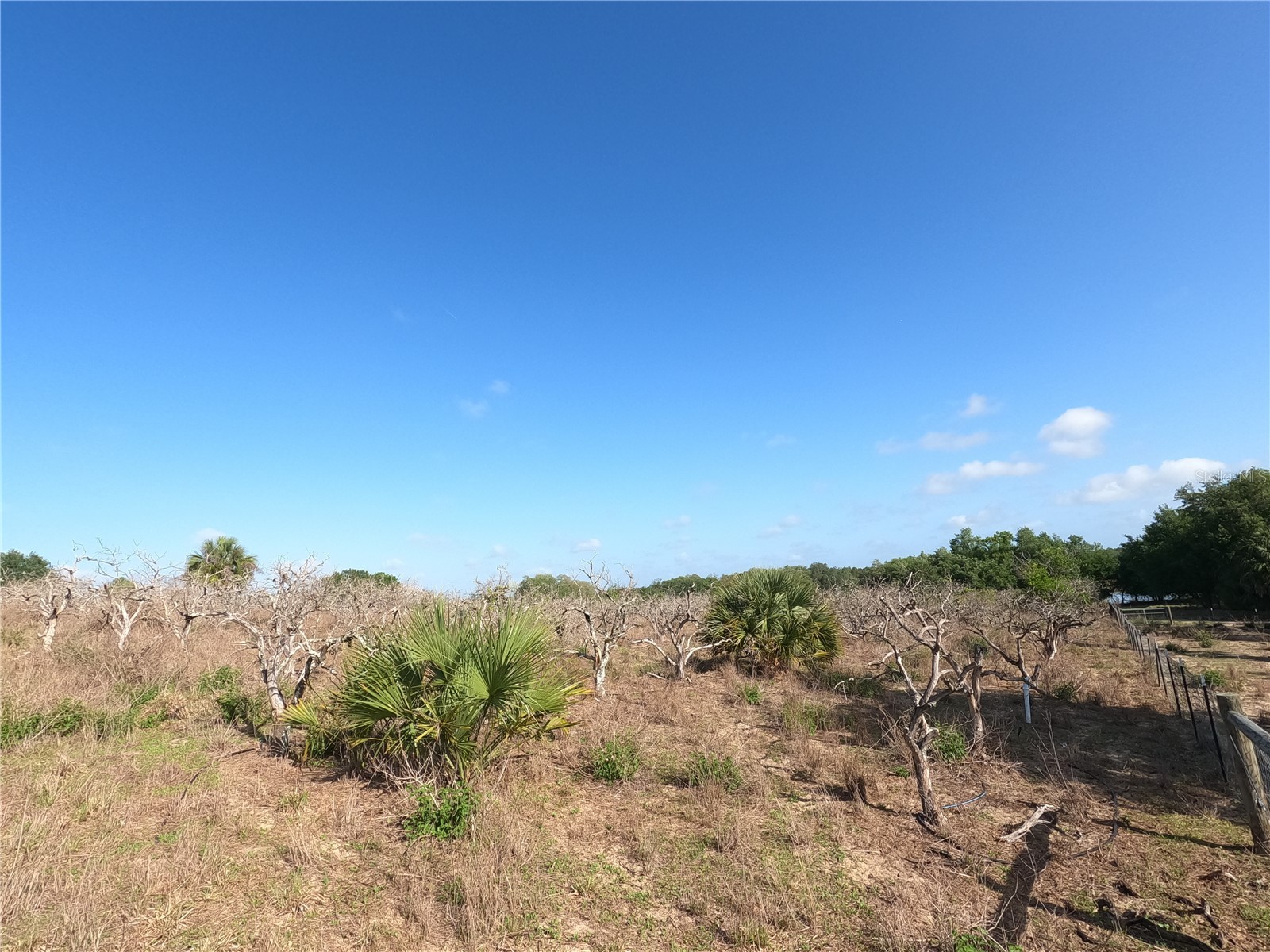 0 Earth Star Lane Groveland FL 34736 G5111483 image7