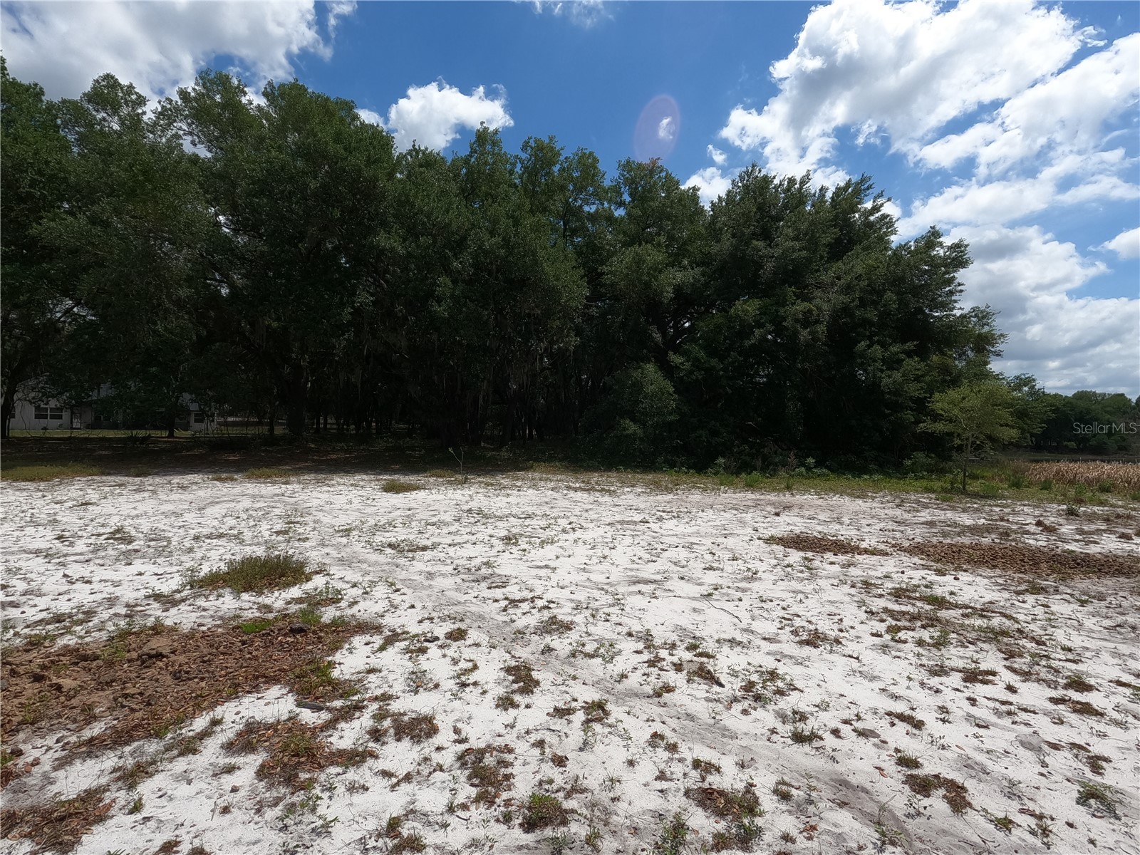 0 Earth Star Lane Groveland FL 34736 G5111483 image74