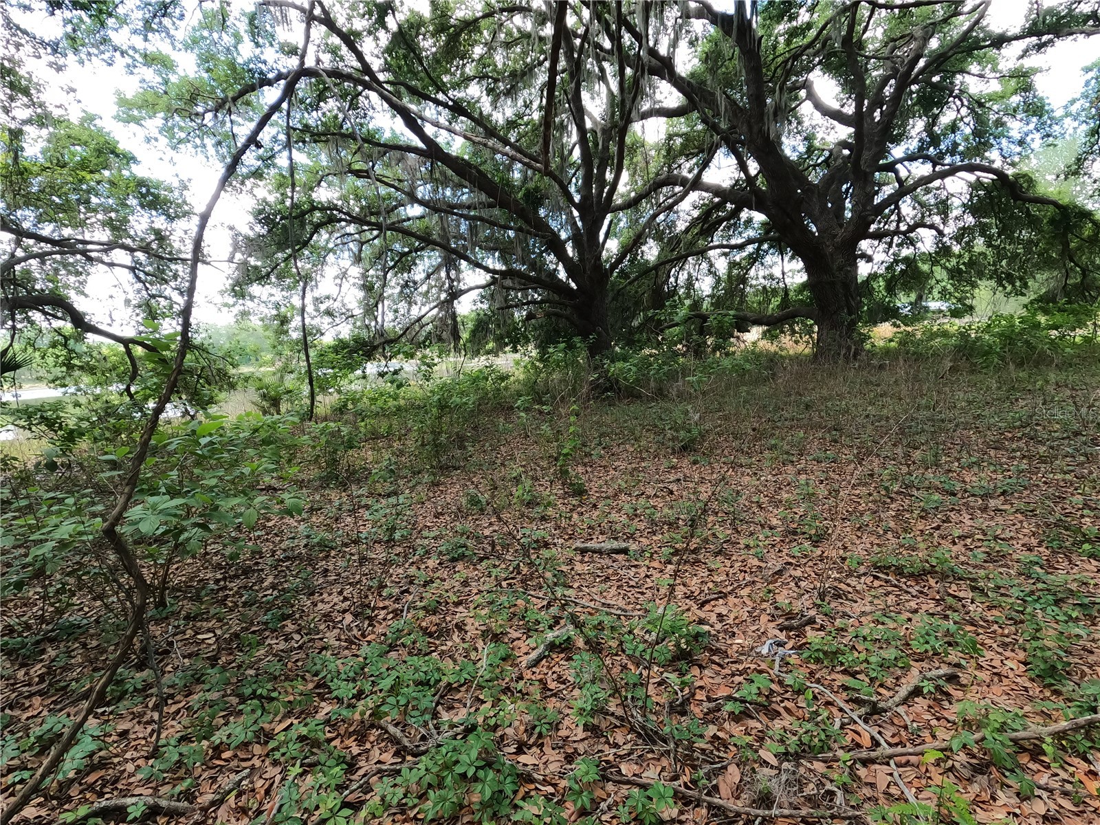 0 Earth Star Lane Groveland FL 34736 G5111483 image76