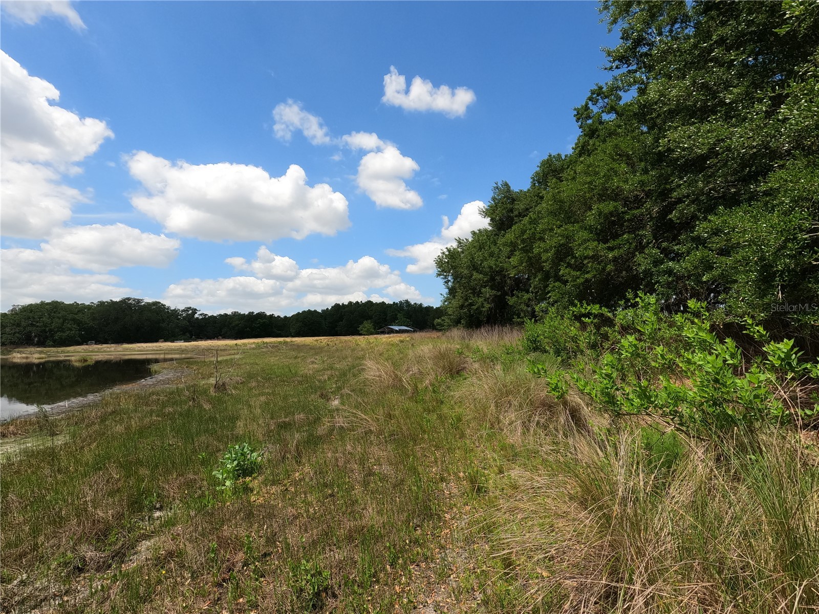 0 Earth Star Lane Groveland FL 34736 G5111483 image77
