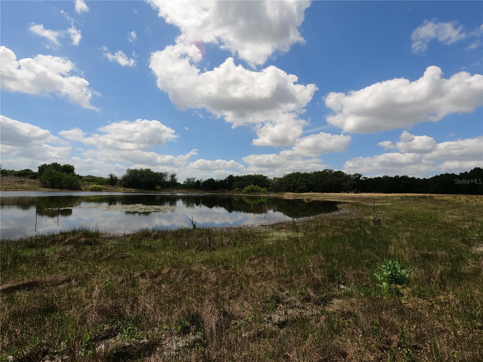 0 Earth Star Lane Groveland FL 34736 G5111483 image78