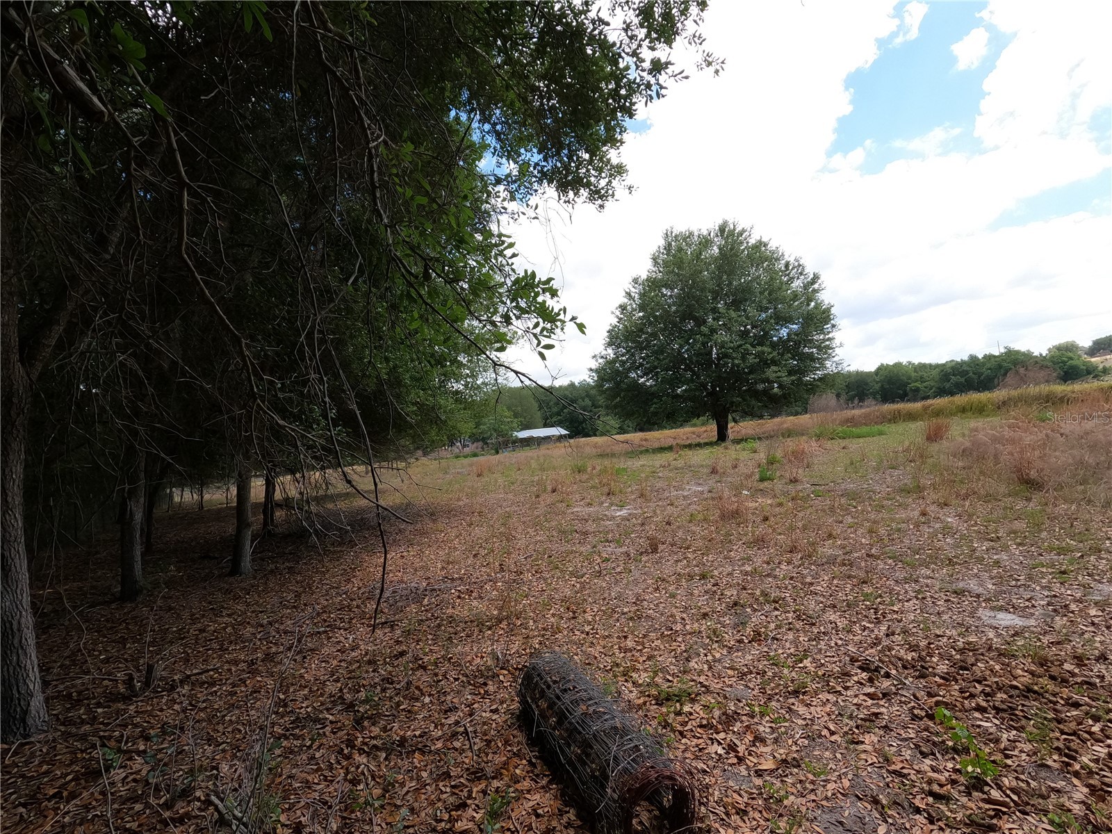 0 Earth Star Lane Groveland FL 34736 G5111483 image82