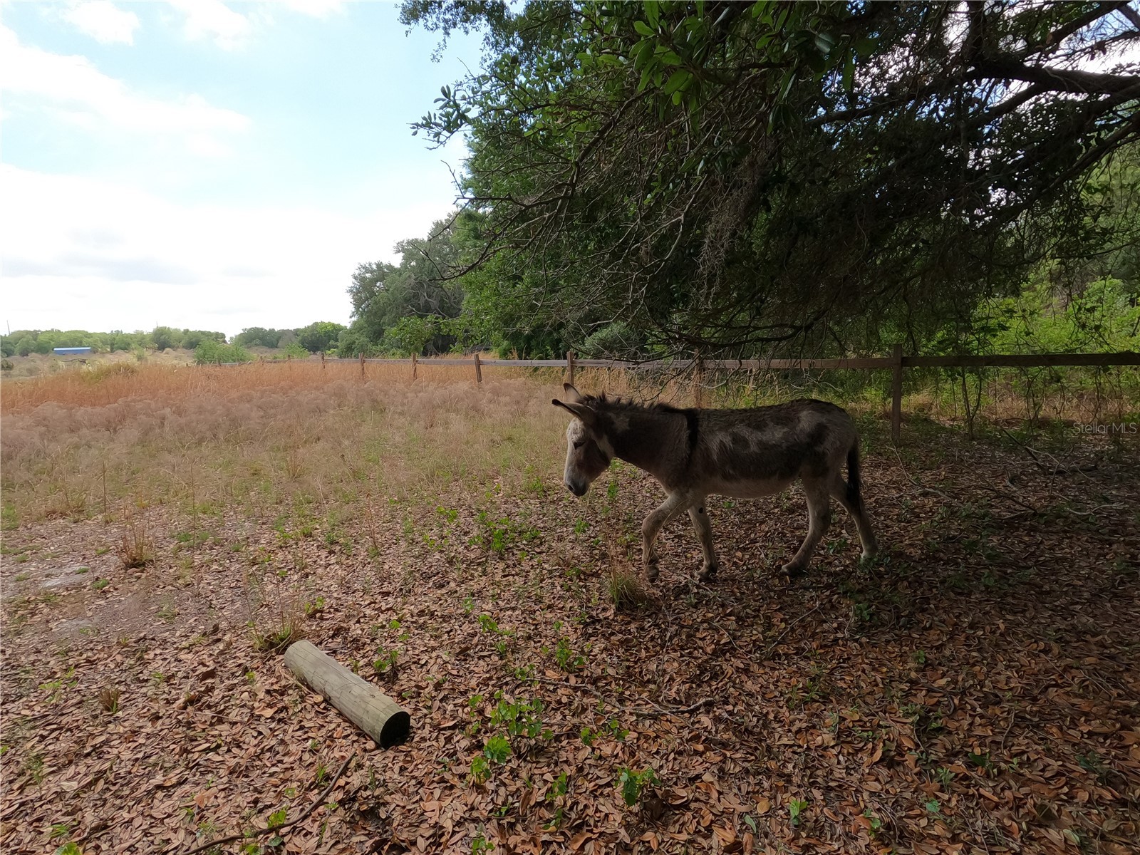 0 Earth Star Lane Groveland FL 34736 G5111483 image84