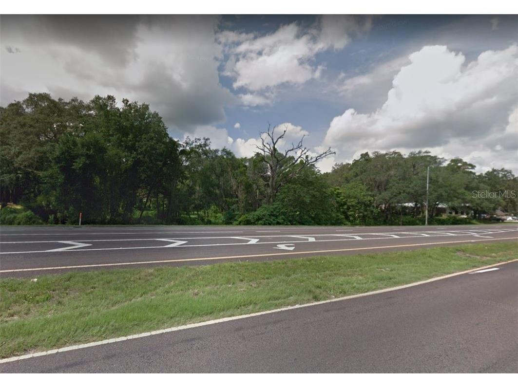 0 East Hwy 60 Valrico FL 33594 T3232285 image1