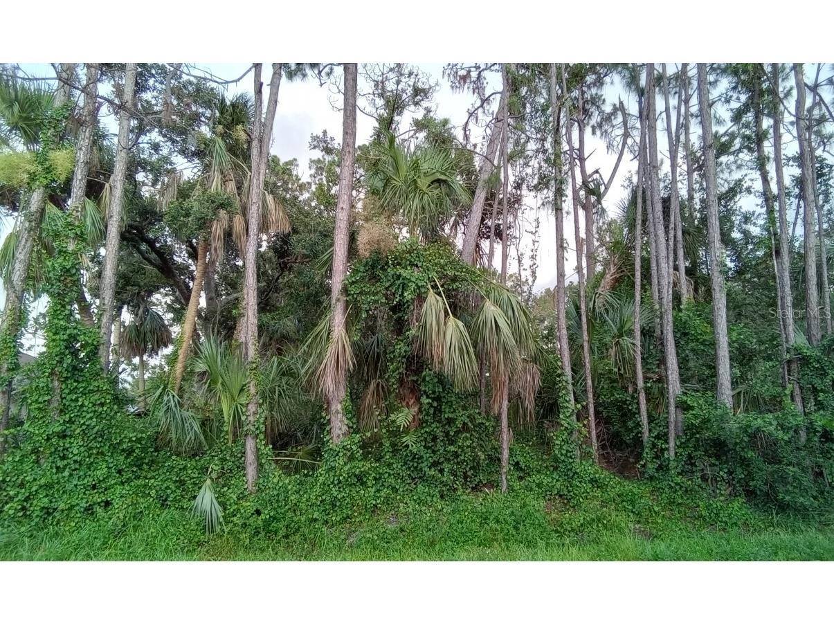 0 Easter Terrace #6 North Port FL 34286 O6124415 image1