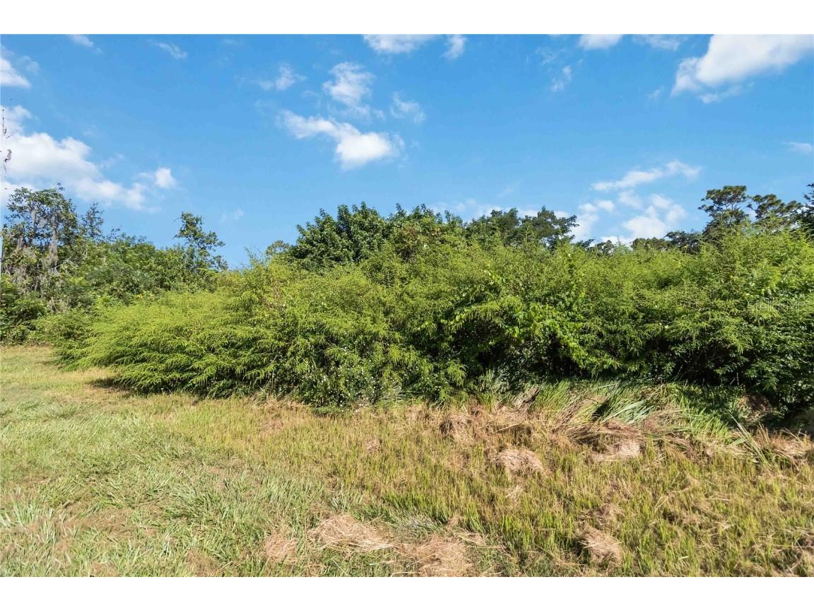 0 Edsel Avenue Saint Cloud FL 34772 O6347852 image15