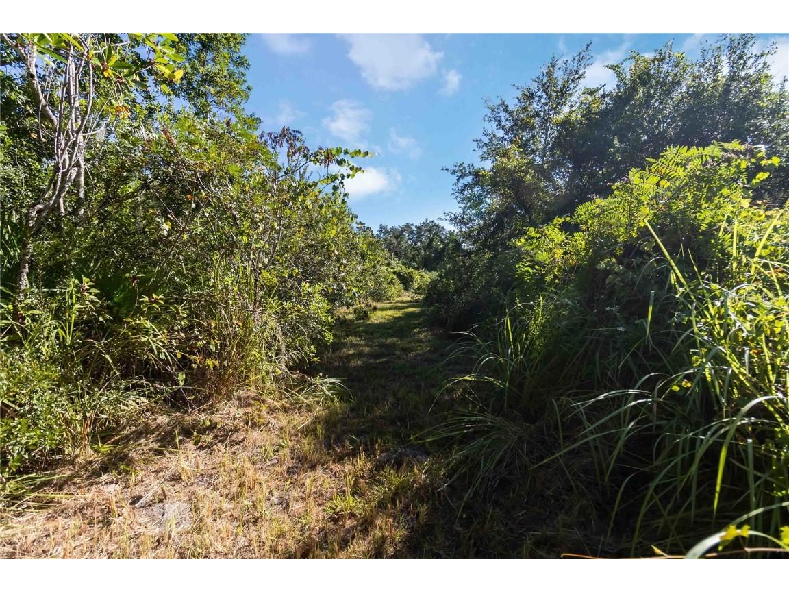 0 Edsel Avenue Saint Cloud FL 34772 O6347852 image20