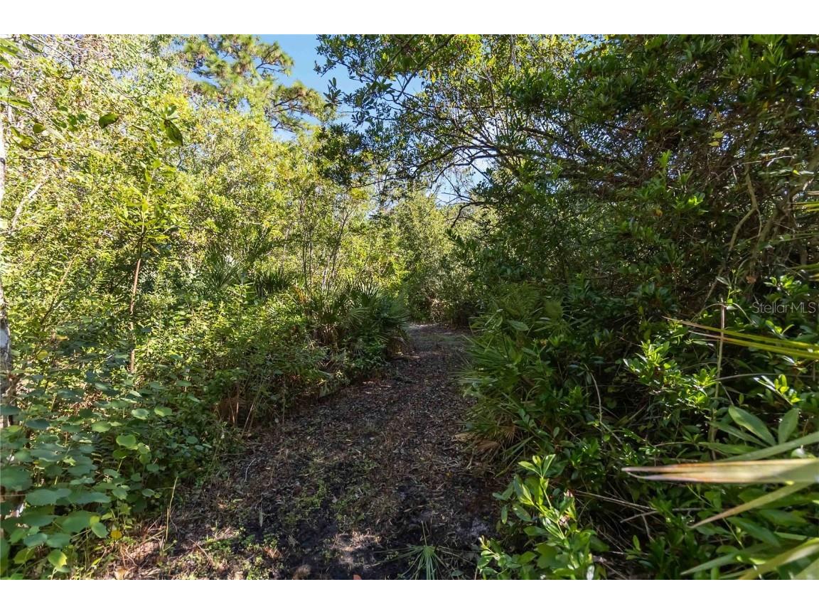 0 Edsel Avenue Saint Cloud FL 34772 O6347852 image21