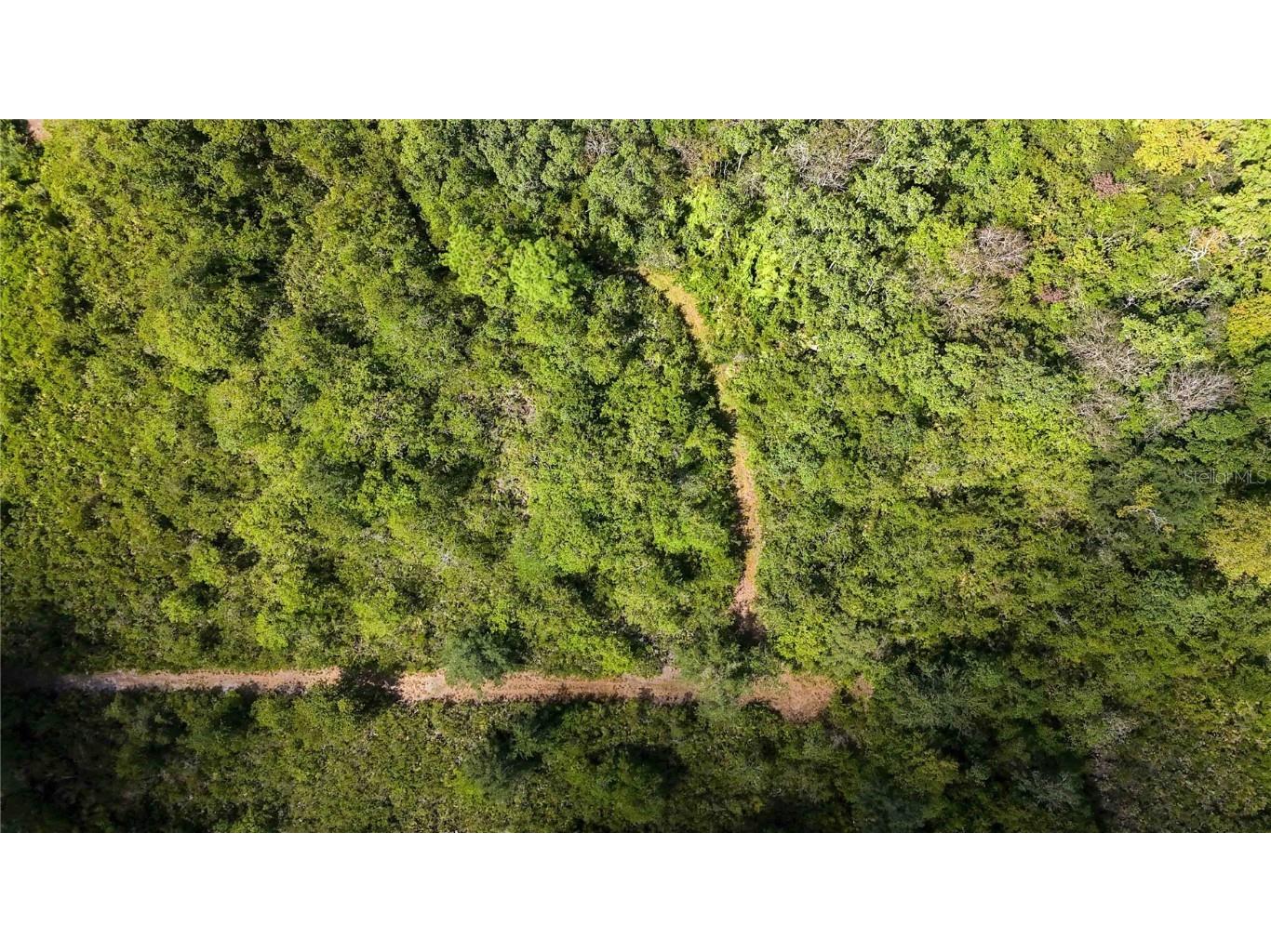 0 Edsel Avenue Saint Cloud FL 34772 O6347852 image25