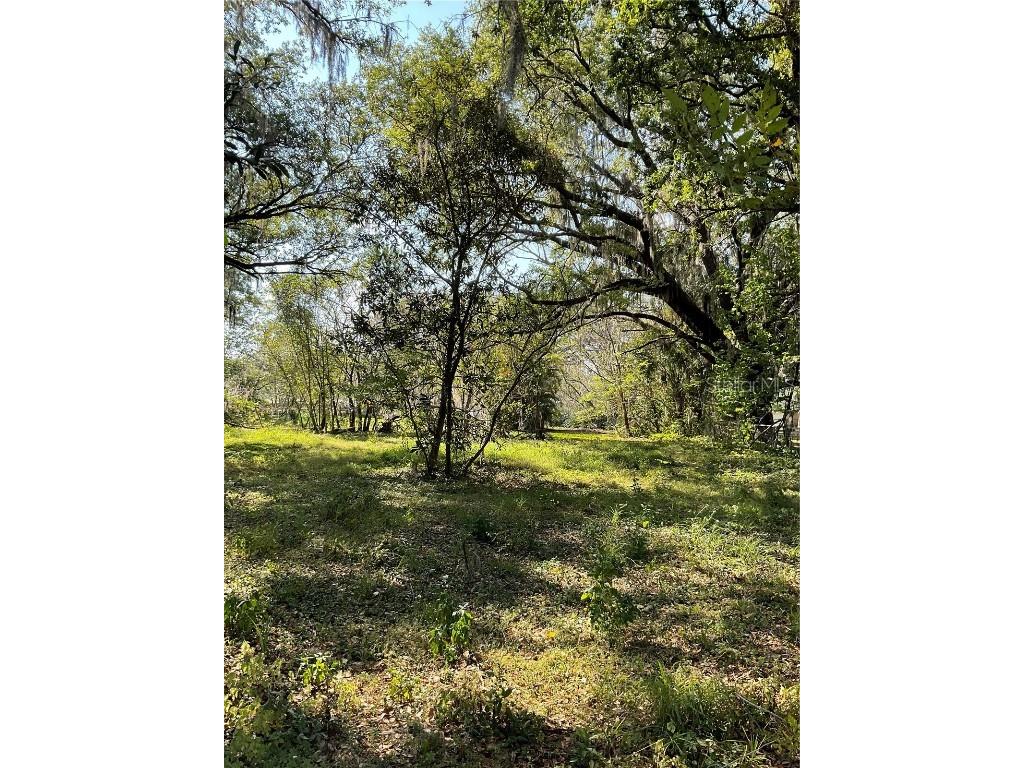 0 Elliott Street W Lakeland FL 33805 U8192784 image1