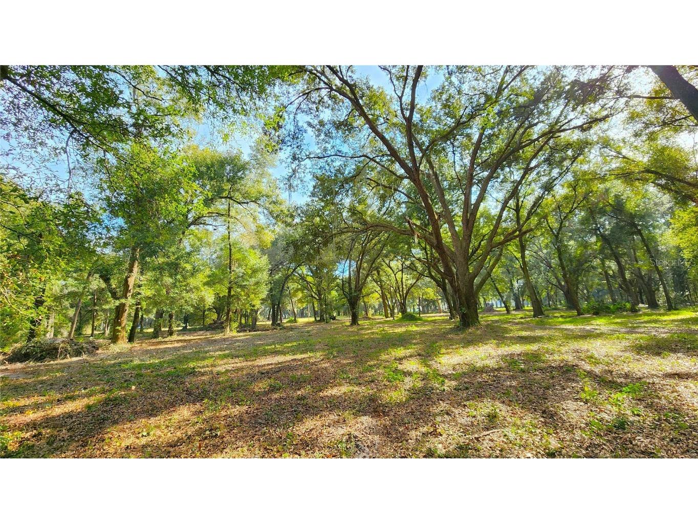 0 Elwood Road Zephyrhills FL 33540 T3490607 image1