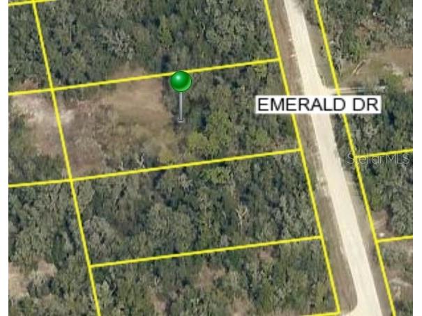 0 Emerald Drive Ridge Manor FL 33523 W7870658 image1