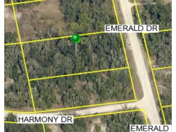 0 Emerald Drive Ridge Manor FL 33523 W7870667 image1