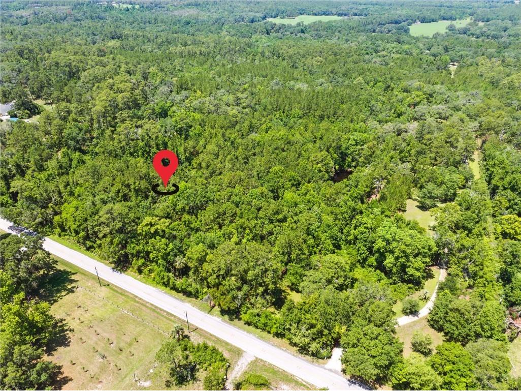 0 Emerson Road Brooksville FL 34601 W7875625 image11