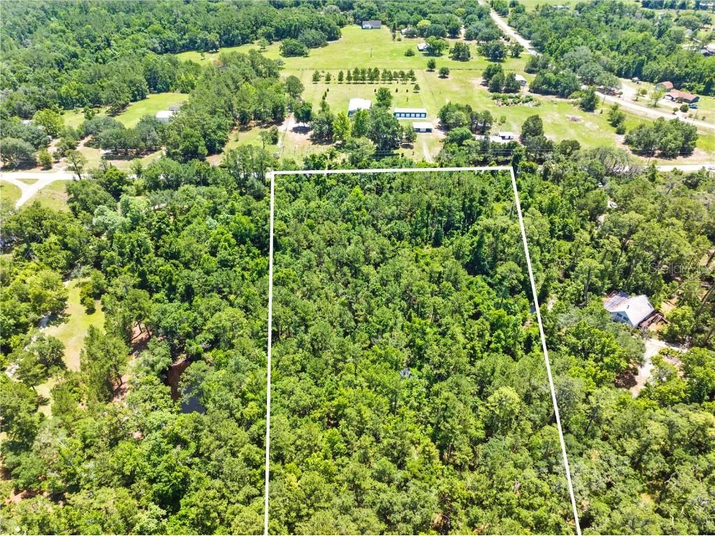 0 Emerson Road Brooksville FL 34601 W7875625 image12