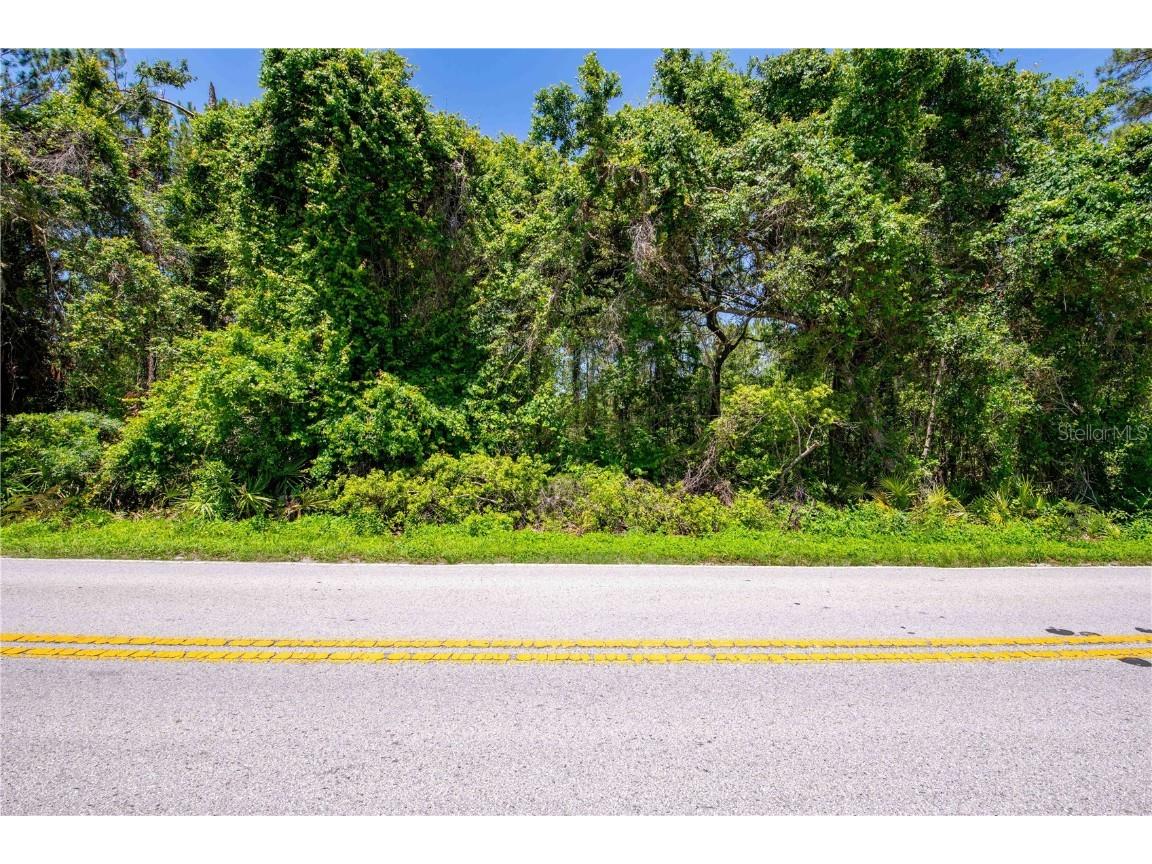 0 Emerson Road Brooksville FL 34601 W7875625 image15