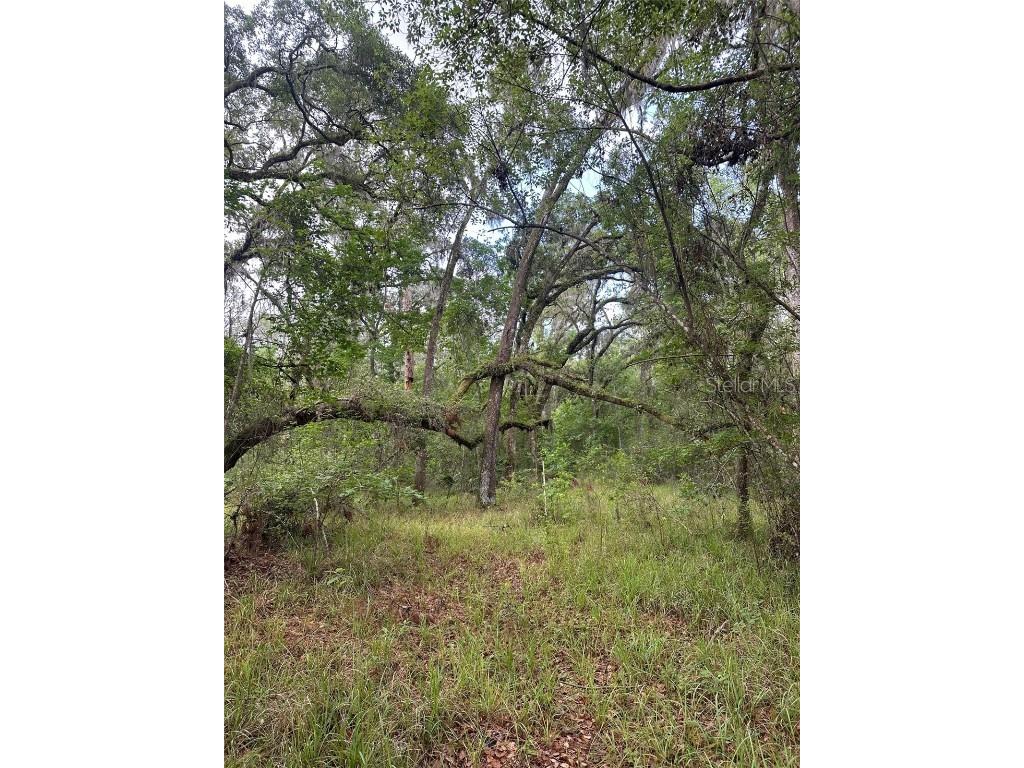 0 Emerson Road Brooksville FL 34601 W7875625 image6