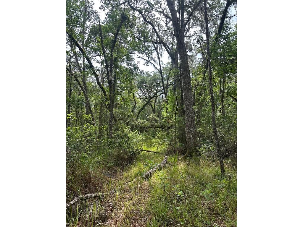 0 Emerson Road Brooksville FL 34601 W7875625 image7