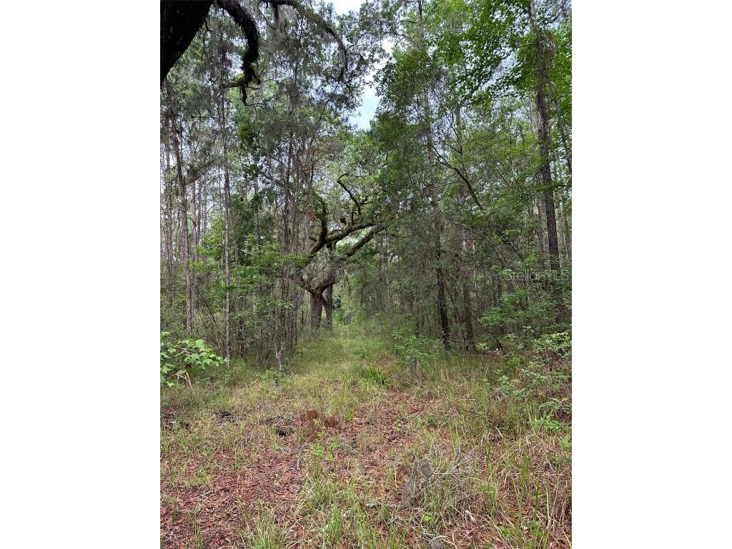 0 Emerson Road Brooksville FL 34601 W7875625 image8