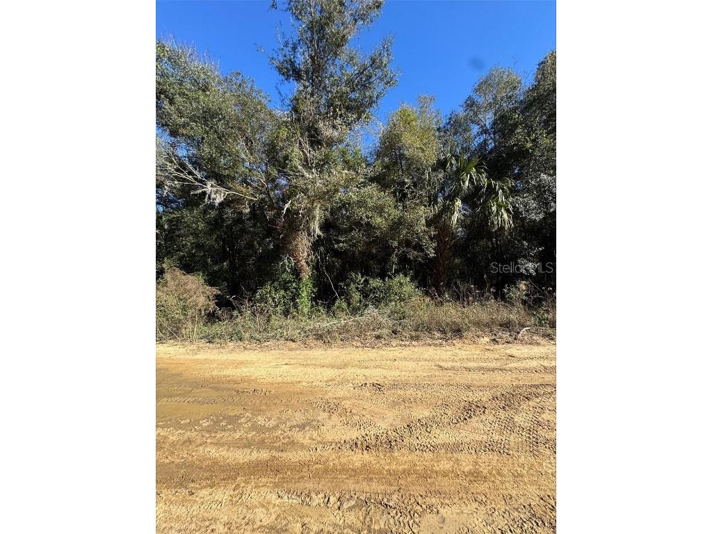 0 Evans Avenue Interlachen FL 32148 O6267260 image1