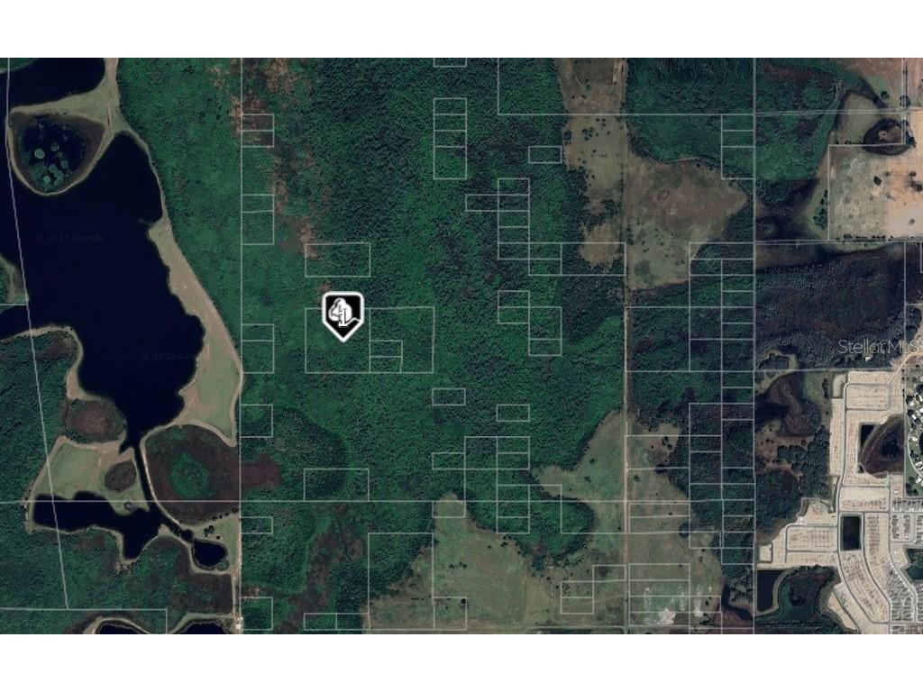 0 Fdc Grove Davenport FL 33837 O6394476 image1