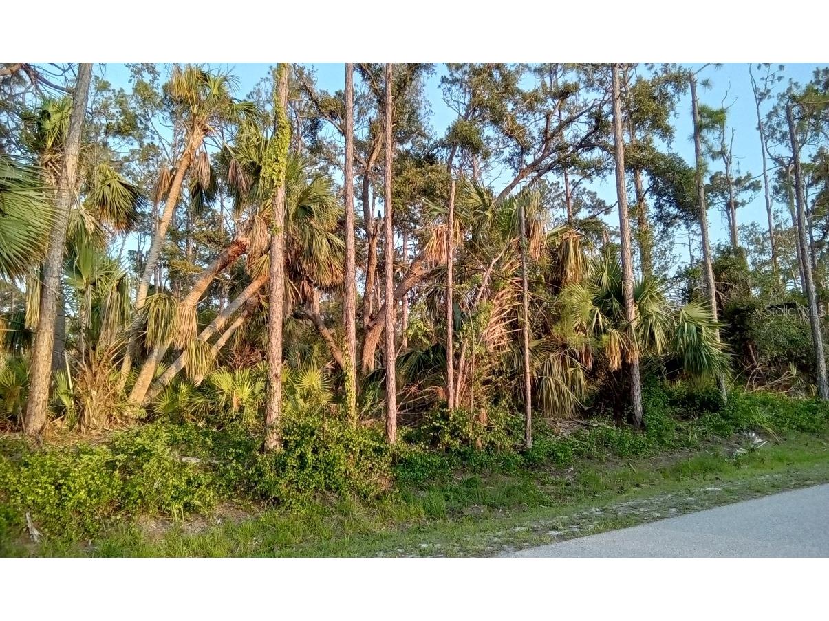 0 Feather Terrace North Port FL 34286 O6118225 image1