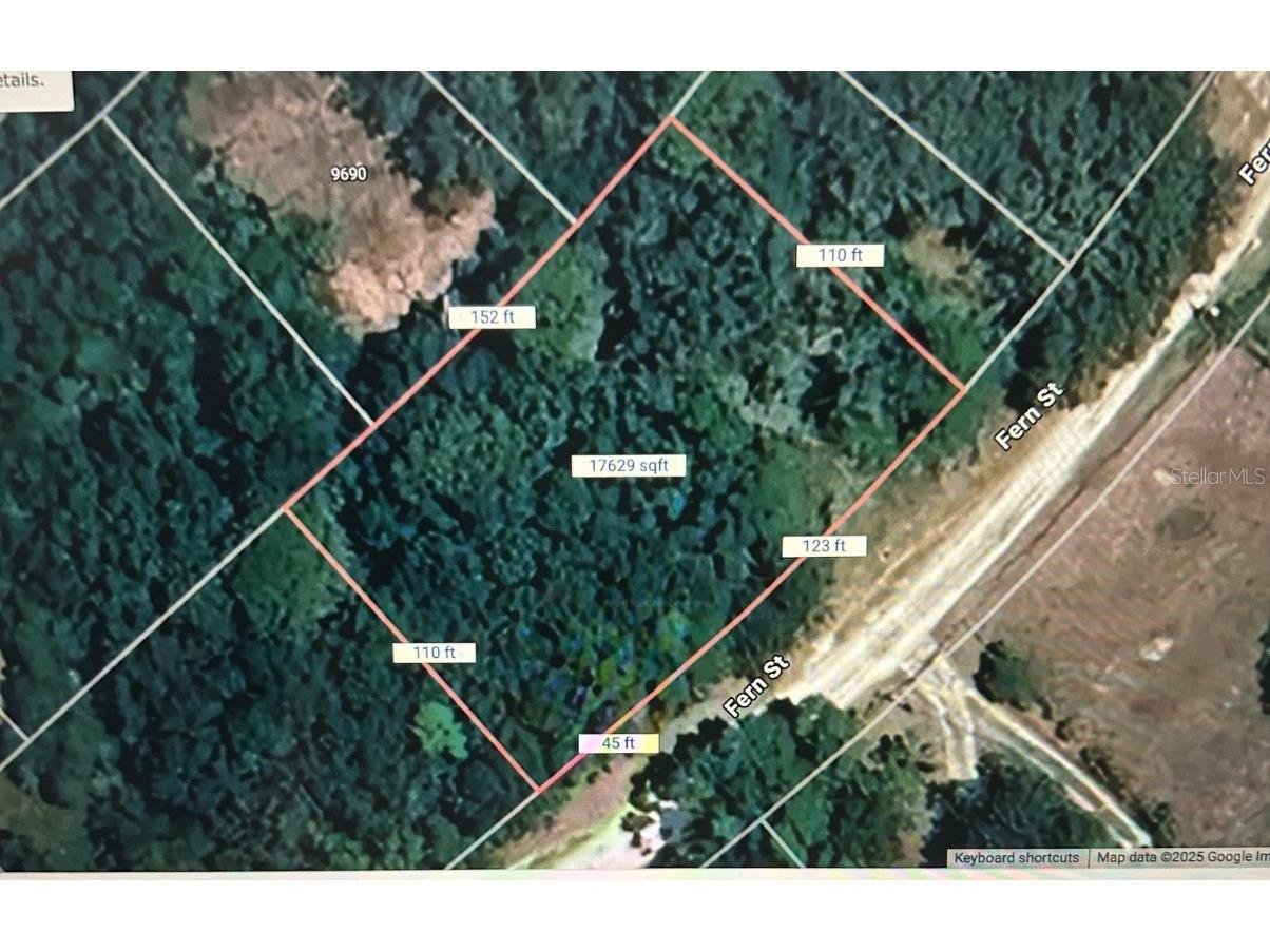 0 Fern Street New Port Richey FL 34654 TB8390862 image1