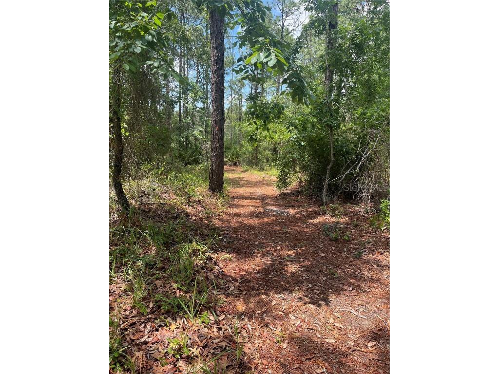 0 Firethorn Point Spring Hill FL 34609 TB8392037 image1