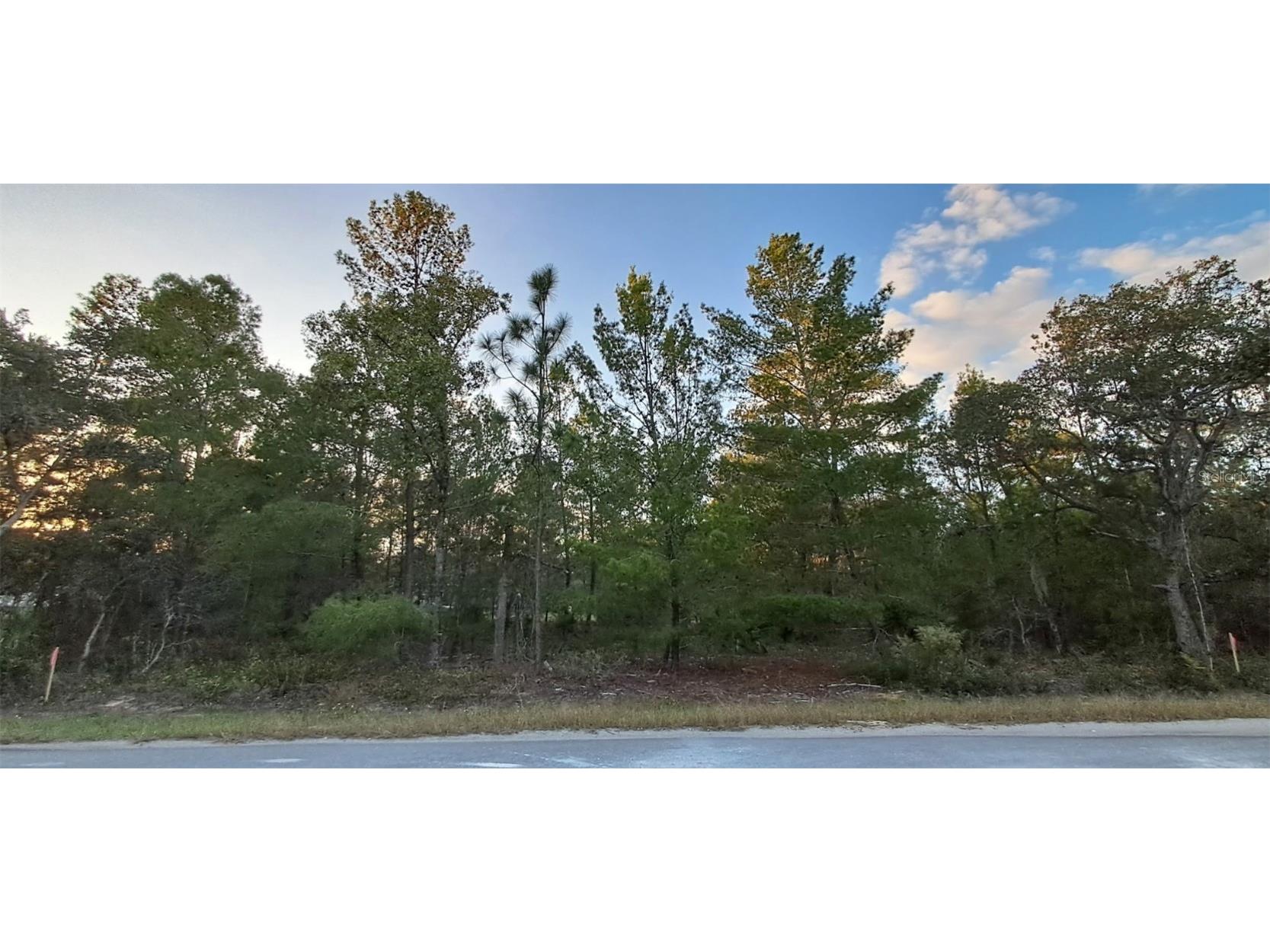 0 Fisher Course #9 Ocklawaha FL 32179 OM713167 image1