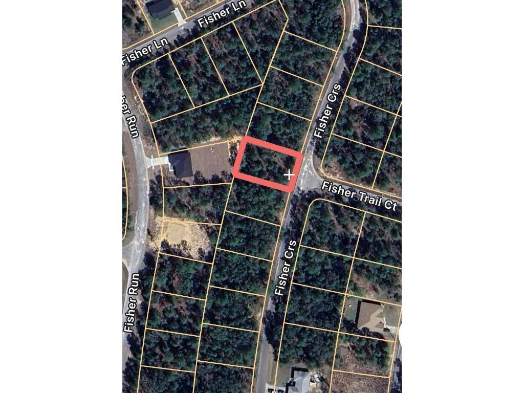 0 Fisher Course #9 Ocklawaha FL 32179 OM713167 image2
