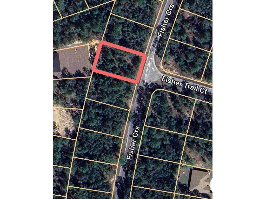 0 Fisher Course #9 Ocklawaha FL 32179 OM713167 image3