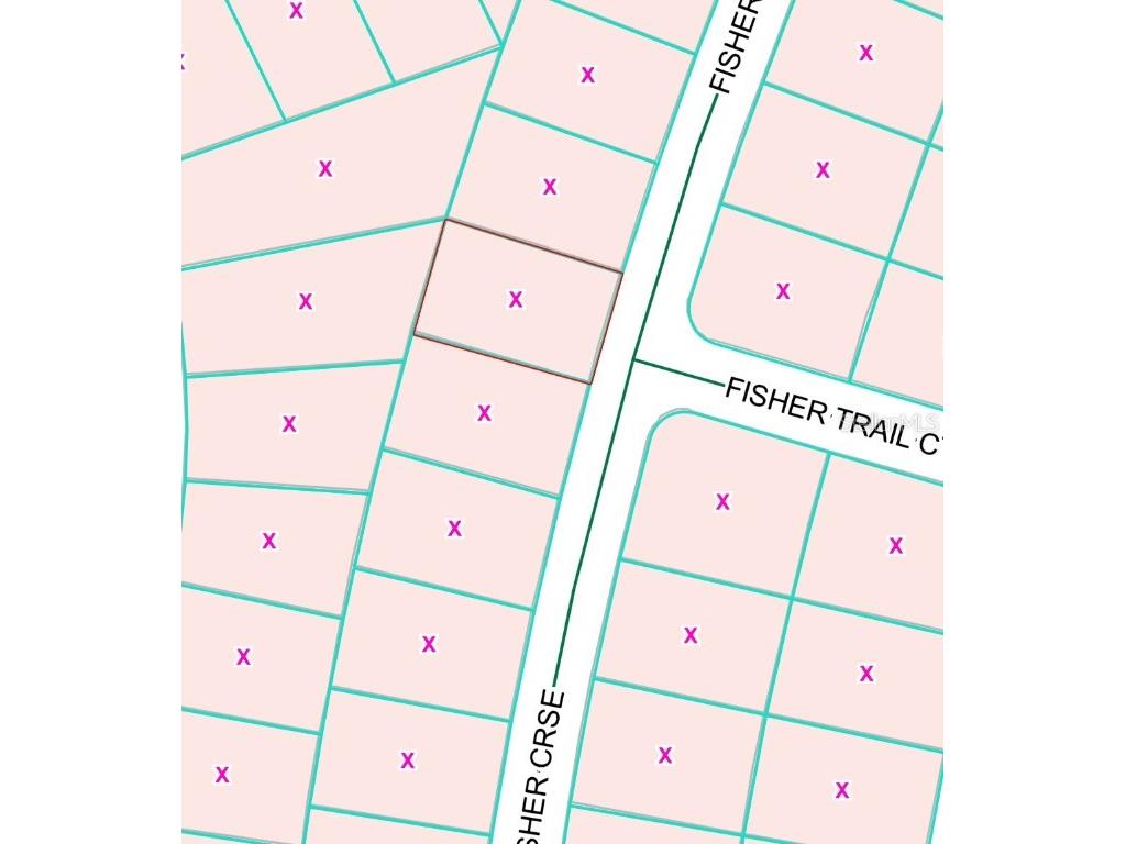 0 Fisher Course #9 Ocklawaha FL 32179 OM713167 image4