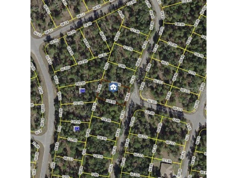 0 Fisher Course Ocklawaha FL 32179 S5135479 image1