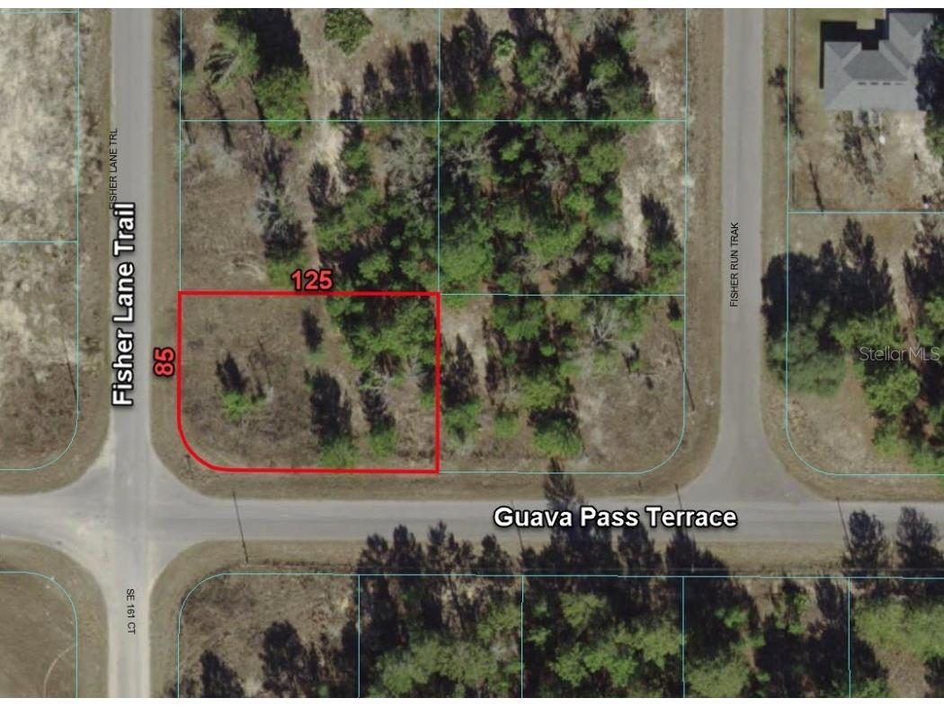 0 Fisher Lane Trail Ocklawaha FL 32179 O6157421 image1