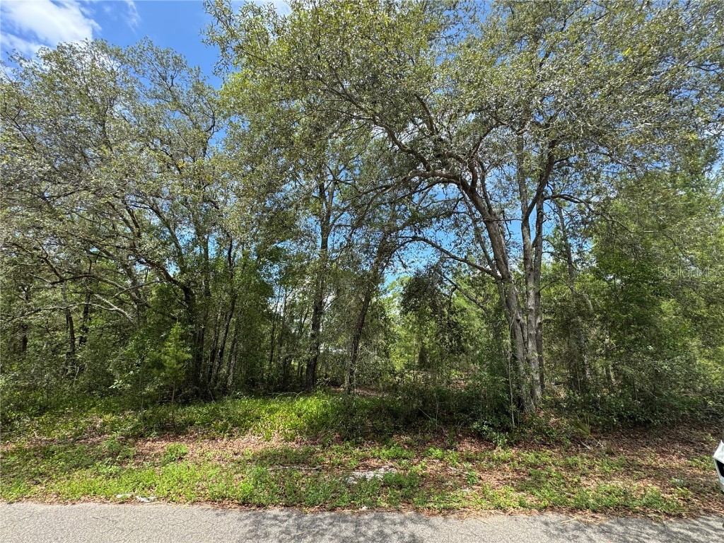 0 Fisher Lane Way #LOT 8 Ocklawaha FL 32179 OM703734 image1