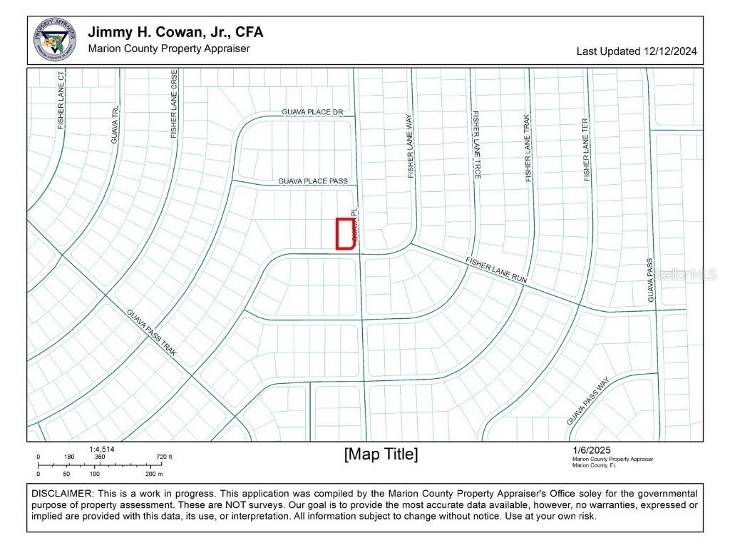 0 Fisher Lane Way Ocklawaha FL 32179 OM692310 image1