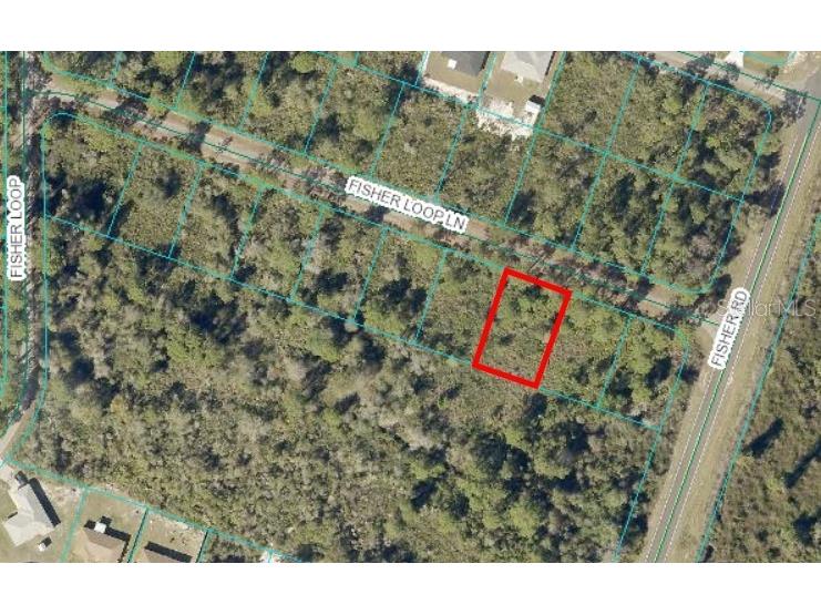 0 Fisher Loop Lane Ocklawaha FL 32179 OM685884 image1