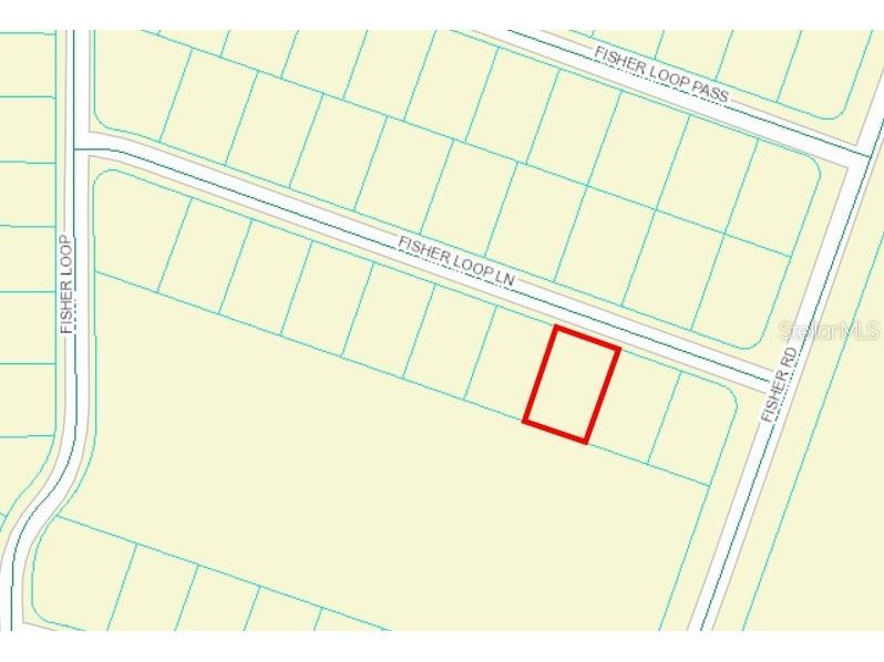 0 Fisher Loop Lane Ocklawaha FL 32179 OM685884 image2
